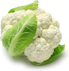 Snowball Cauliflower Seeds (Brassica oleracea) for a lasting display in the kitchen garden cool season bed