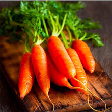 Little Fingers Carrot Seeds for home growers seeking a reliable harvest