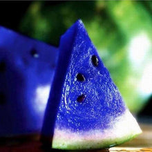 Watermelon Seeds (Citrullus lanatus) for a fresh homegrown crop from the Home Vegetable Patch