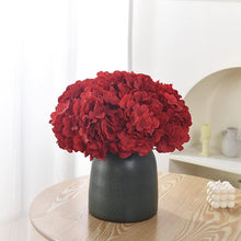 Hydrangea Hydrangea Macrophylla Red Seeds for climbing cover in the Garden Shaded Areas