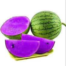 Purple Watermelon Seeds (Citrullus lanatus) for a reliable harvest in the home garden and backyard spaces