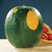 Moon and Stars Watermelon Seeds (Citrullus lanatus) for growers stocking the backyard fruit garden and heirloom watermelon growing