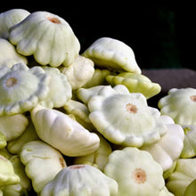 Dahlia Dahlia Pinnata True Seeds for reliable seasonal color