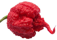 Carolina Reaper Red Hot Pepper Seeds (Capsicum chinense) for home growers seeking a reliable harvest