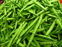 Glyceria Maxima Plants for colorful blooms in the Wetland Garden