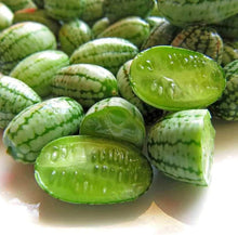 Cucamelon Mini Watermelon Seeds for a fresh homegrown crop from the Unique Fruit Garden Planting