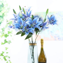 Blue Heart Lily Seeds (Crinum spp.) for seasonal color across the Flower Bed & Water Garden