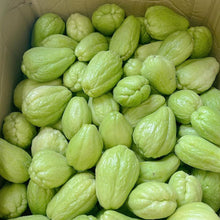 Fortune Squash Seeds for home growers seeking a reliable harvest
