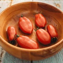 San Marzano Tomato Seeds valued by growers for authentic Italian Tomatoes