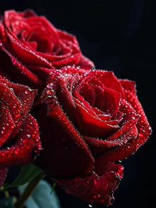 Rare Heirloom Rose Seeds for seasonal color across the Flower Bed