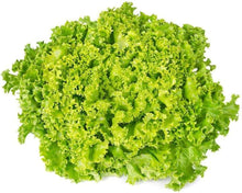 Lollo Römersalat Lettuce Seeds for home growers seeking a reliable harvest