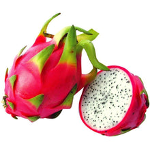 White Pitaya Seeds (Hylocereus undulatus) for growers wanting a homegrown harvest