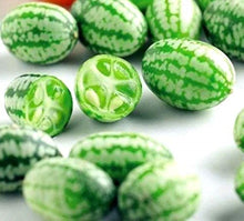 Melothria Scabra Mexican Sour Gherkin Seeds known for tasty Cucumbers