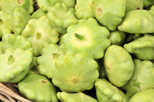 Benning’s Green Seeds (Tint scallop) for a productive addition to the vegetable patch