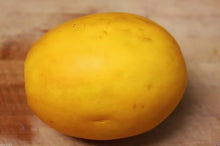 Dosakai Melon Cucumber Seeds for a productive addition to the vegetable patch