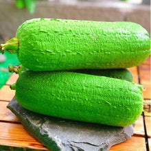 Loofah Seeds (Luffa aegyptiaca) for a bright addition to the Pure Meat Variety in Kitchen Garden