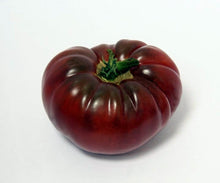 Black Russian Elephant Tomato Seeds (Solanum lycopersicum) for productive rows in the large, sweet heirloom tomatoes in home vegetable gardens