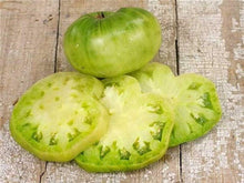 Green Giant Tomato Seeds for a reliable harvest in the Your Garden