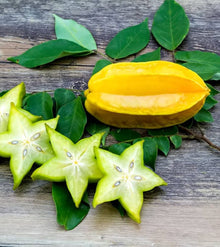 Star Fruit Seeds Averrhoa carambola for planting in urban garden