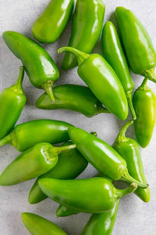 Organic Jalapeno Pepper Seeds for growers stocking a kitchen garden