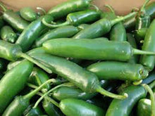 Mexican Pepper Seeds for a reliable harvest in the Capsicum patch spice garden