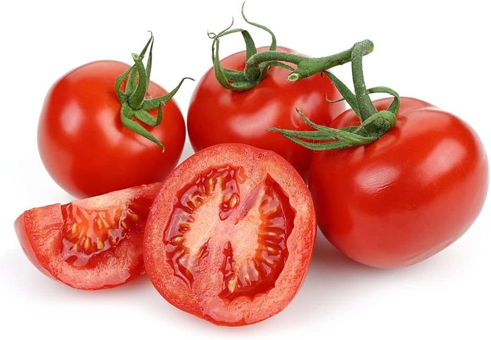 Akron Tomato – Solanum lycopersicum – for planting in greenhouses