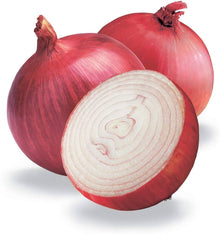 Red Bull Onion Seeds for growers stocking a kitchen garden