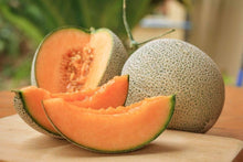 MuskMelon Seeds (Cucumis melo) for colorful blooms in the Vegetable Patch & Home Garden