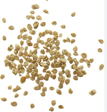 ACE 55 Heirloom Tomato Seeds prized among growers for delicious Homegrown Tomatoes