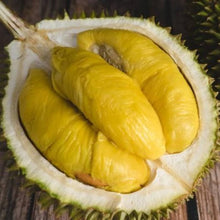 Durian King of Seeds for sweet homegrown fruit in the Exotic Garden