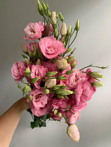 Lisianthus Seeds (Eustoma grandiflorum) for growers filling out the home garden flower bed