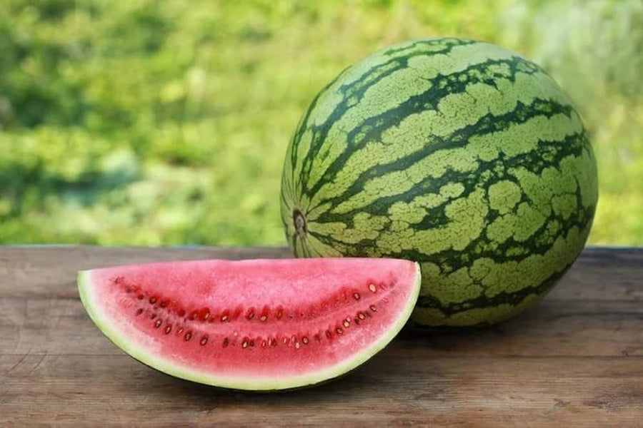 Organic (Crimson Sweet Anguria Seeds – Naturally Grown Juicy Watermelon Variety) for planting in garden
