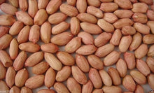 Peanut Seeds for gardeners building out beds and borders
