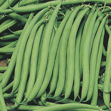 Stick Beans Vegetable Plant Seeds for productive rows in the Vegetable Patch