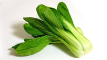 Broccoli Brassica Oleracea De Cicco Non-GMO Organic Seeds for growers stocking the Early Harvests in Home Gardens