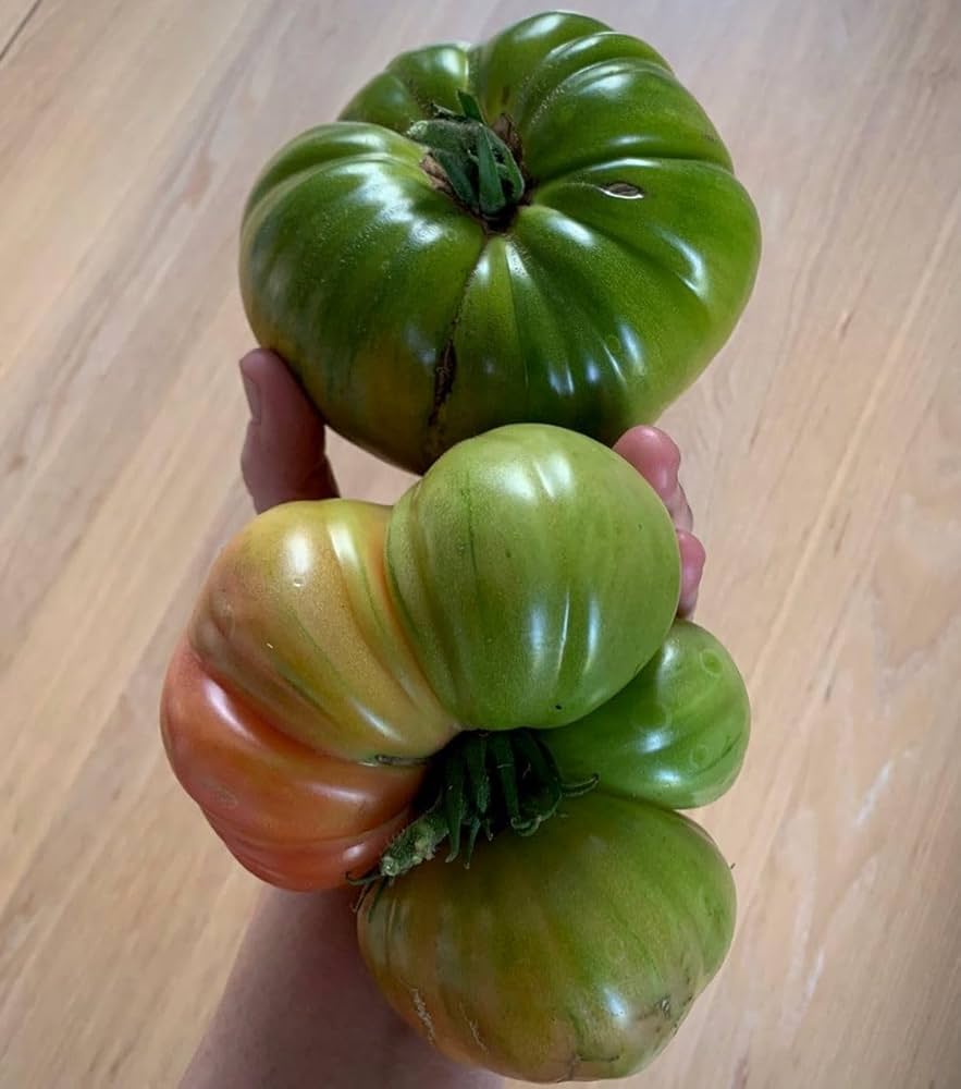 Aunt (Ruby's German Green Tomato Seeds – Heirloom Beefsteak with Tangy-Sweet Flavor) for planting in garden