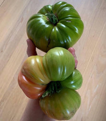 Aunt (Ruby's German Green Tomato Seeds – Heirloom Beefsteak with Tangy-Sweet Flavor) for planting in garden