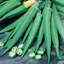 Emerald Okra Seeds (Abelmoschus esculentus) known for warm-Season Planting