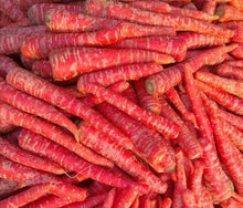 Carrot Daucus Carota Rainbow Mix Seeds for growers stocking the Kitchen Raised Beds