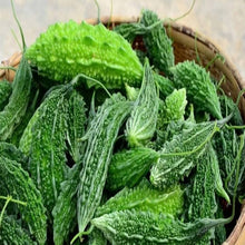 Bitter Melon Momordica charantia for planting in raised bed
