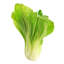 San Fan Hybrid Pak Choi seeds