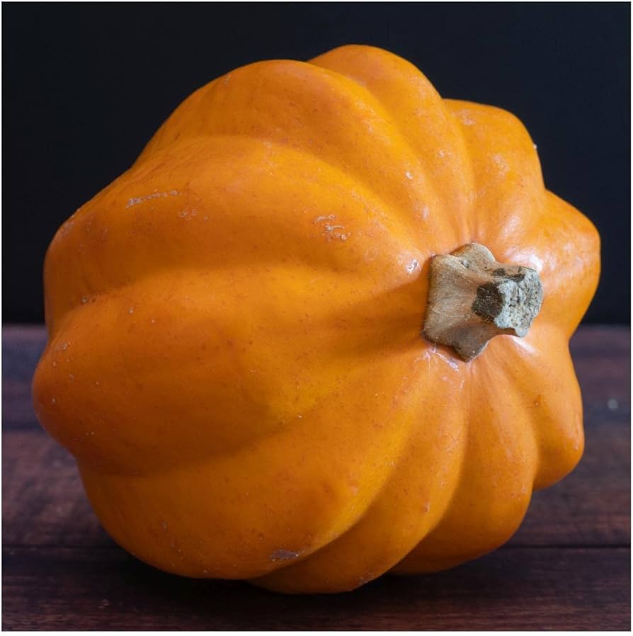 Table Gold Acorn Squash Seeds winter vegetable
