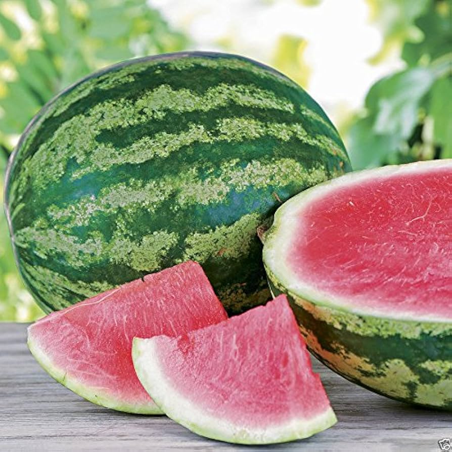 Triple - Crown for planting in home garden
