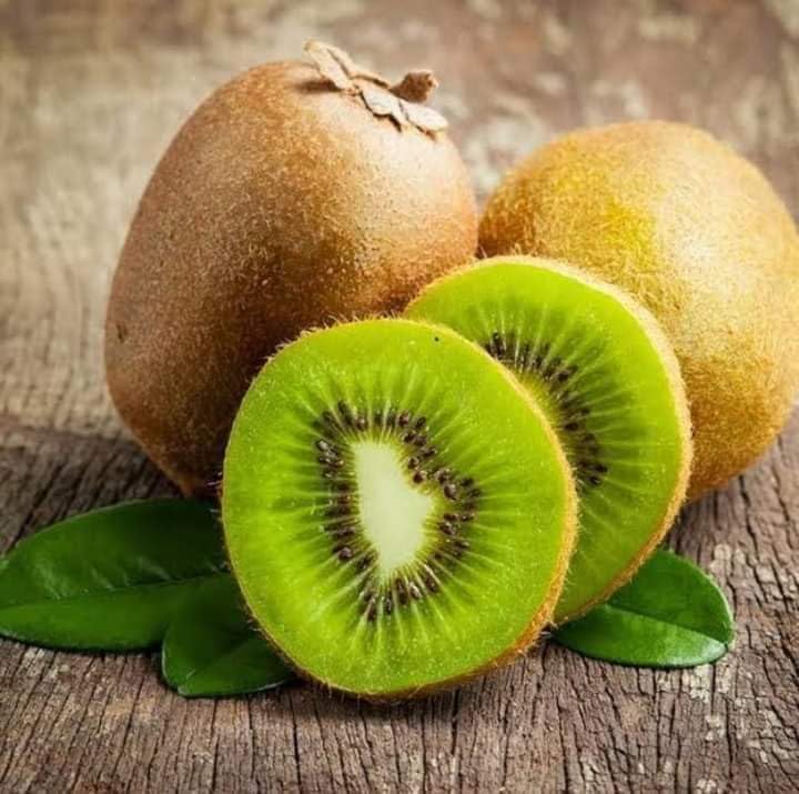 Actinidia (Actinidia deliciosa) seeds for edible garden & bonsai