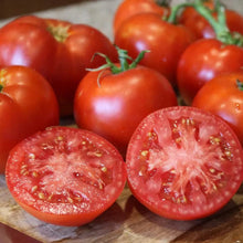 Better Boy Tomato Seeds for a reliable harvest in the vegetable patch