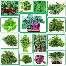 Vitamin Green Asian Greens Seeds for reliable seasonal color