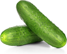 Semi Spacemaster Non-GMO cucumber seeds