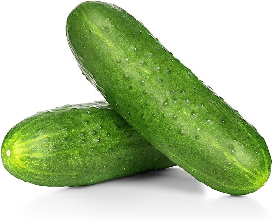 Semi Spacemaster Non-GMO cucumber seeds