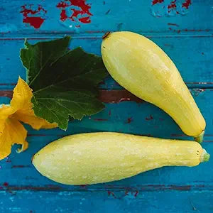 Squash Gardening for planting in home garden.