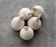 Southport White Globe Onion Seeds (Allium cepa) for a reliable harvest in the Kitchen Vegetable Patch